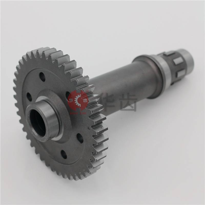 Working pump shaft gear